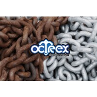 OCTREX HOLDINGS logo - Similar company to Tems International