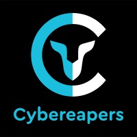 Cybereapers logo - Similar company to Racoun
