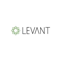 Levant Software House logo - Similar company to Verity
