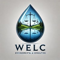 WEL Consulting Ltd logo - Similar company to Co-Risk Labs