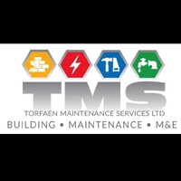 TORFAEN MAINTENANCE SERVICES LIMITED logo - Similar company to Swansea.Com Stadium