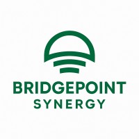 BridgePoint Synergy logo - Similar company to Limpet Technology