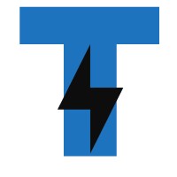 TeNetSoft logo - Similar company to Emetsol