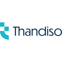 Thandiso Advisory logo - Similar company to Ethesium