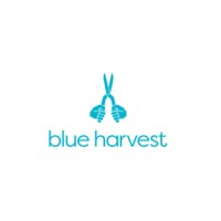 Blue Harvest AB logo - Similar company to Wiridis Ab
