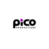 Pico Productions logo - Similar company to Future Now Digital