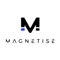 Magnetiseme logo - Similar company to Intric Tech