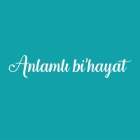 Anlamlibihayat logo - Similar company to Ytü Müzik Kulübü