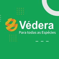 Védera Brasil logo - Similar company to Tua Opinião