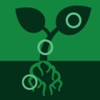 International Journal of Plant Biology MDPI logo - Similar company to Mdpi Environments
