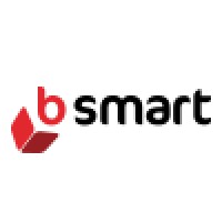 B-smart Italia S.r.l. logo - Similar company to Be Smart S.R.L.