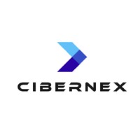 Cibernex Inc logo - Similar company to Cibernex