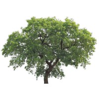 Oakwood Contracts Ltd logo - Similar company to Milestone