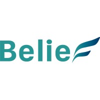 Belief Holdings logo - Similar company to Marcom Mate Jsc.,