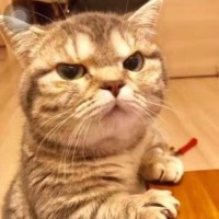 > r0/dev/null logo - Similar company to Cvu Intelligence