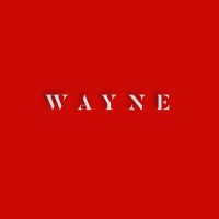 WAYNE MGMT logo - Similar company to Caeba - Conseil, Assistance Et Ingénierie