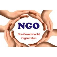 Flawless NGO logo - Similar company to Silverlining Ngo