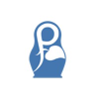 Rinsys - Russian Information Systems