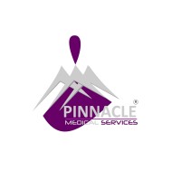 Pinnacle Medical Services logo - Similar company to Struggly