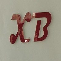 Dongguan Xinbo Hardware Products Co. LTD logo - Similar company to Aim Electronics