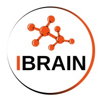 iBrainUA logo - Similar company to Expane