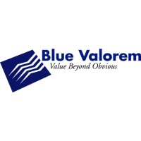 Blue Valorem Solutions Inc logo - Similar company to Sync Smart Solutions