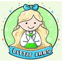 Little Labs logo - Similar company to Little Engineers