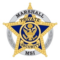 MSI Security logo - Similar company to Genesis Security, Llc
