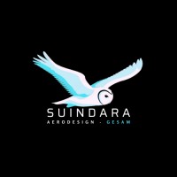 Equipe Suindara Aerodesign logo - Similar company to Equipe Fernando Amorim