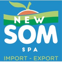 NEW SOM S.P.A. logo - Similar company to Jweb Studio