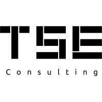TSE Consulting- Ecommerce & Marketing Digital logo - Similar company to Bsolus
