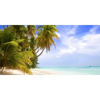 Caribbean Travel Guides Limited logo - Similar company to Active Conservation Alliance