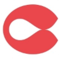 飞鱼科技 logo - Similar company to 云扩科技
