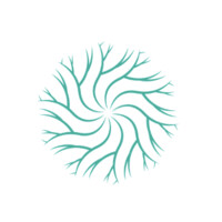 ABO Performance & Advisory logo - Similar company to Entheonation