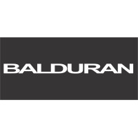 BALDURAN logo - Similar company to Cognite Solutions