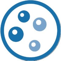 Center for Integrated Fungal Research (CIFR) at NC State University logo - Similar company to International Mycological Association