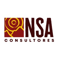 NSAConsultores logo - Similar company to Sociedad Chilena De Antropología Biológica (Sochiab)