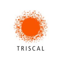Triscal logo - Similar company to Itfuture