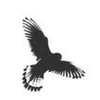 Kestrel Recruitment Ltd logo - Similar company to Kestrel