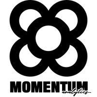 MOMENTUM Analytics A.I. logo - Similar company to Newtonlab Space
