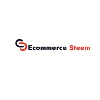 Ecommercesteem logo - Similar company to Ekasis