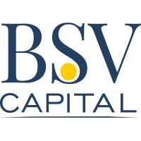 BSV Capital logo - Similar company to Silveira Capital