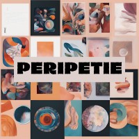Peripetie Atölye logo - Similar company to Moins Vite !
