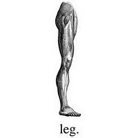 Agence leg. logo - Similar company to Ddw