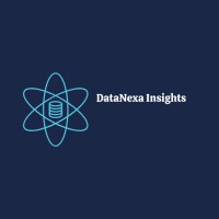 DataNexaInsights logo - Similar company to Nexa