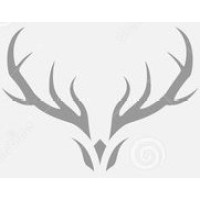 Thian Consulting & Partnerships