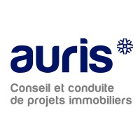 Auris - Groupe Agiloe logo - Similar company to Citti - Groupe Agiloe