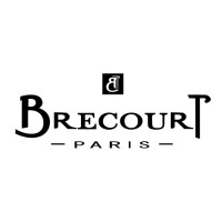 Brecourt logo - Similar company to Il Profvmo
