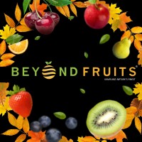 Beyond Fruits Ltd logo - Similar company to Adnet Communications Limited