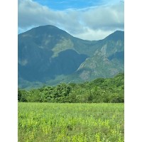 Yagappa Group of Hotels &Resorts,Thanjavur, Kodaikannal logo - Similar company to Langval Mall - Thanjavur